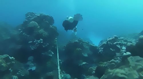 帕勞籌建第二條海纜系統 亞行提供融資支持